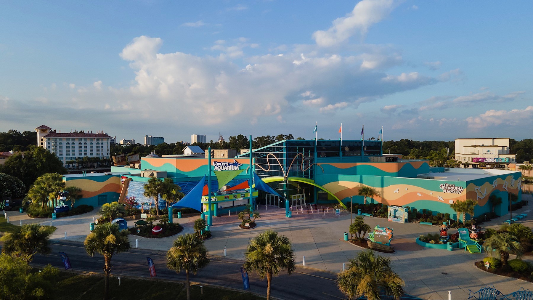 Things To Do Ripley's Aquarium of Myrtle Beach